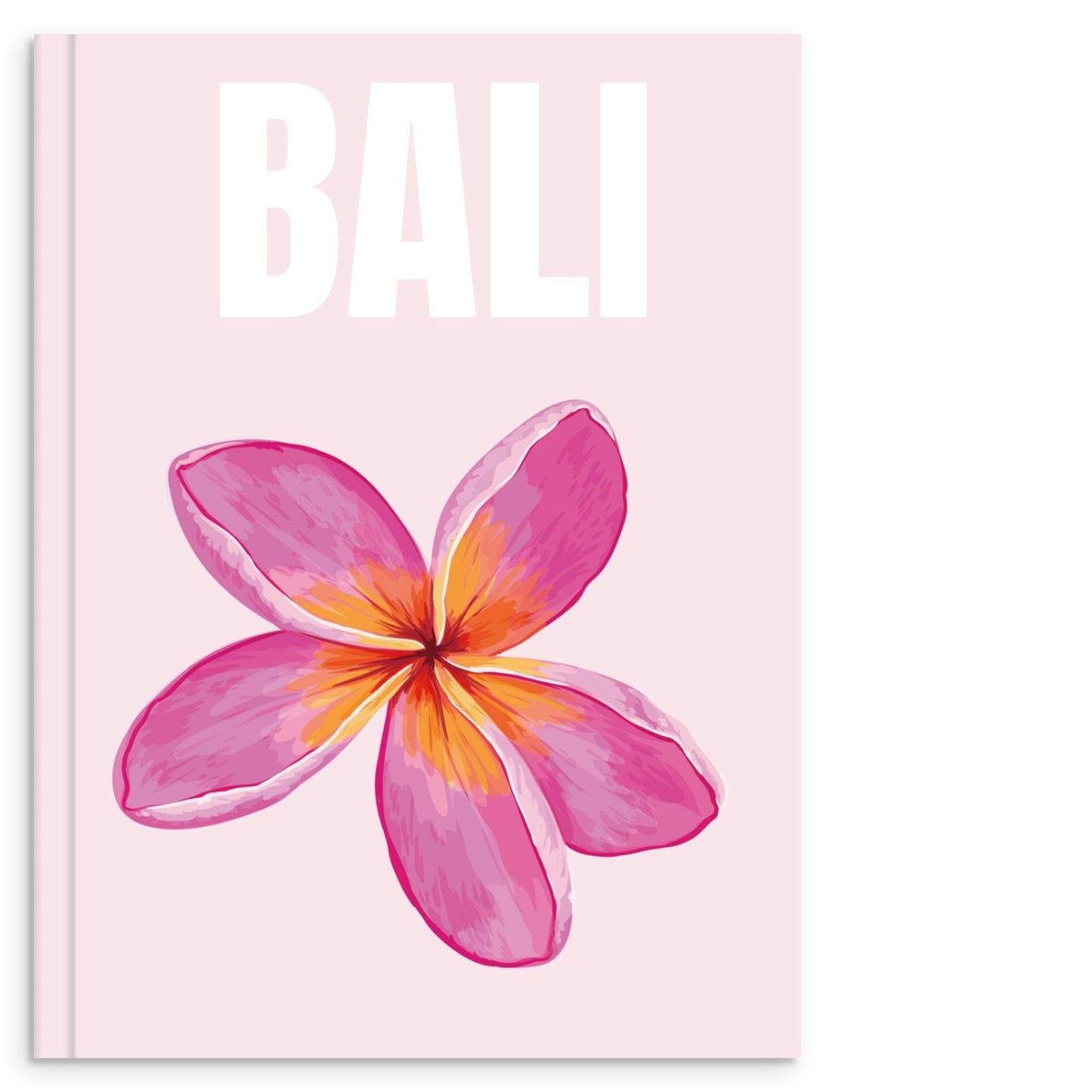 cf0db209-5096-4b56-a20f-2ca0c4460d66